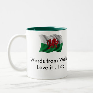 D6G Word van de Mok van Wales