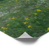 D7 Mule Deer Spring Bucks op Green Poster (Hoek)