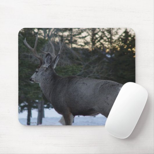 D8 Muildierbok Muismat (Met muis)