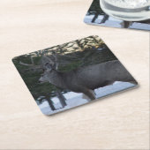 D8 Mule Deer Buck Kartonnen Onderzetters (Schuin)