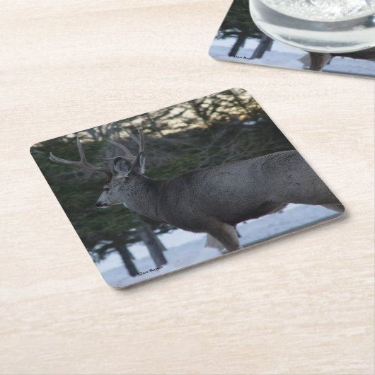 D8 Mule Deer Buck Kartonnen Onderzetters (Schuin)
