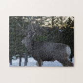 D8 Mule Deer Buck Legpuzzel (Horizontaal)