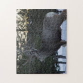 D8 Mule Deer Buck Legpuzzel (Verticaal)