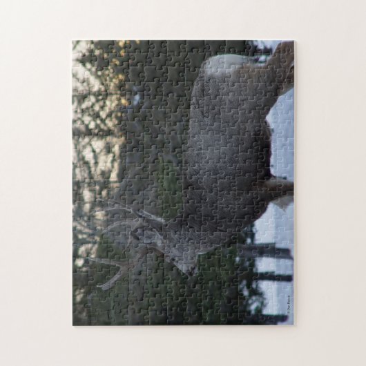 D8 Mule Deer Buck Legpuzzel (Verticaal)
