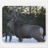 D8 Mule Deer Buck Muismat (Voorkant)