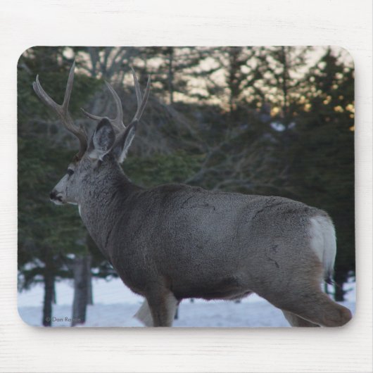D8 Mule Deer Buck Muismat (Voorkant)