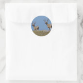 D9 Muildierbokken in fluweel Ronde Sticker (Tas)