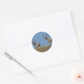 D9 Muildierbokken in fluweel Ronde Sticker (Envelop)