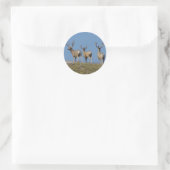 D9 Mule Deer bokken in fluweel Ronde Sticker (Tas)