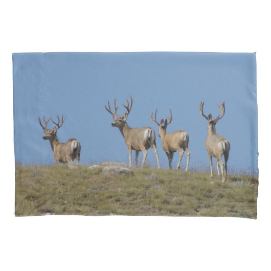 D9 Mule Deer Bokken in Fluwelen Lucht Lijn Kussensloop (Voorkant)