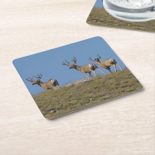 D9 Mule Deer Bucks in Velvet Kartonnen Onderzetters (Schuin)