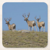 D9 Mule Deer Bucks in Velvet Kartonnen Onderzetters (Voorkant)