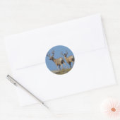 D9 Mule Deer Bucks in Velvet Ronde Sticker (Envelop)