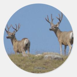 D9 Mule Deer Bucks in Velvet Ronde Sticker
