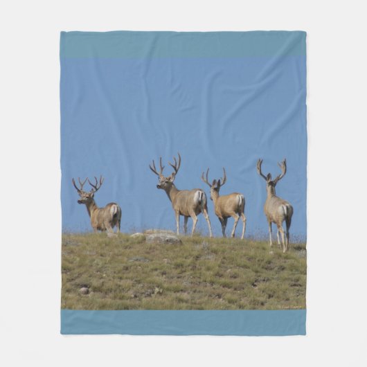 D9 Mule Deer Bucks in Velvet Sky Fleece Deken (Voorkant)