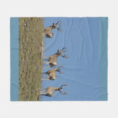 D9 Mule Deer Bucks in Velvet Sky Fleece Deken (Voorkant (Horizontaal))