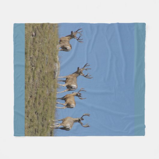 D9 Mule Deer Bucks in Velvet Sky Fleece Deken (Voorkant (Horizontaal))