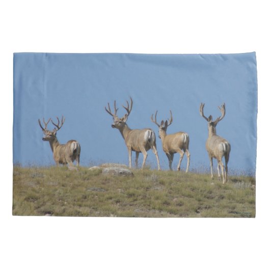 D9 Mule Deer Bucks in Velvet Sky Kussensloop (Achterkant)