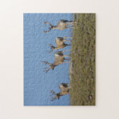 D9 Mule Deer Bucks Sky gelinkt Legpuzzel (Verticaal)