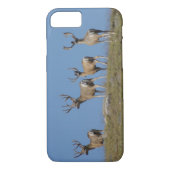 D9 Mule Deer in Velvet Case-Mate iPhone Case (Achterkant)