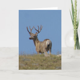 D9a de Bok van de Herten van de Muilezel in Kaart