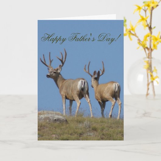 D9b Mule Deer Bucks in Velvet Kaart (Gele Bloem)