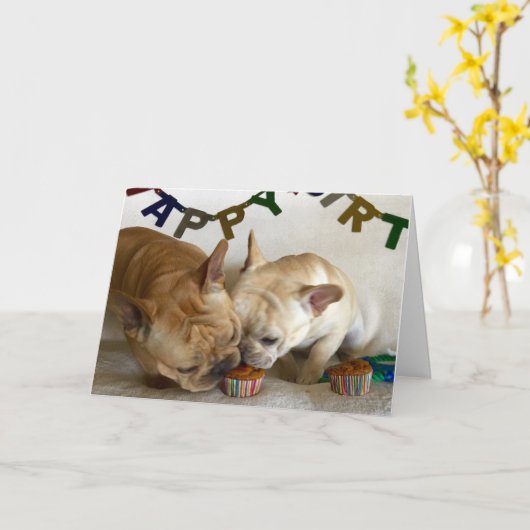 D & D Verjaardag Kaart (Gele Bloem)