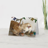 D & D Verjaardag Kaart (Voorkant)