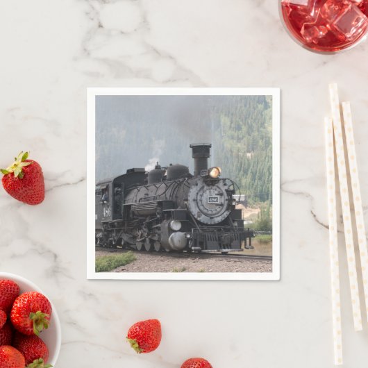 D en S 486 verlaten Silverton Servet (Insitu)