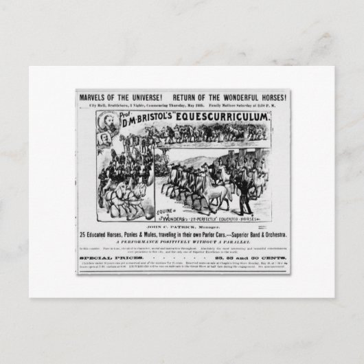 D. M. Bristol's Equescurriculum Ad Briefkaart (Voorkant)