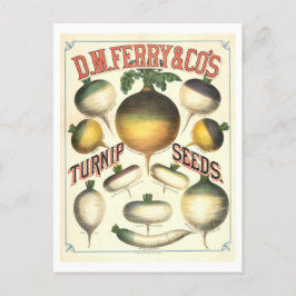 D. M. Ferry & Co.  raapzaad Adverteren Briefkaart