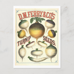 D. M. Ferry & Co.  raapzaad Adverteren Briefkaart