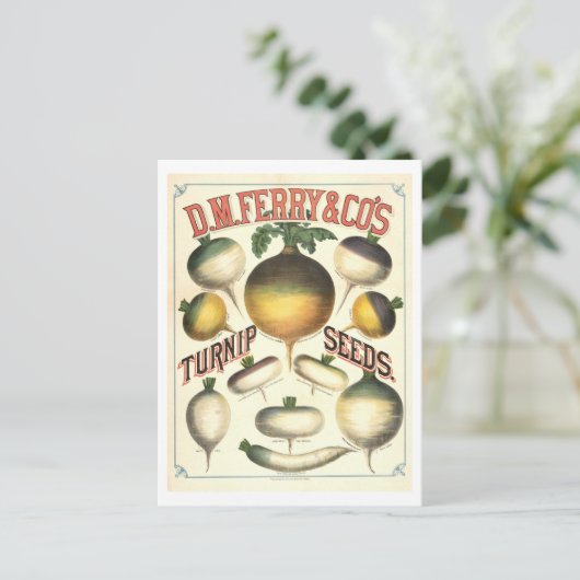 D. M. Ferry & Co. raapzaad Adverteren Briefkaart (Staand voorkant)