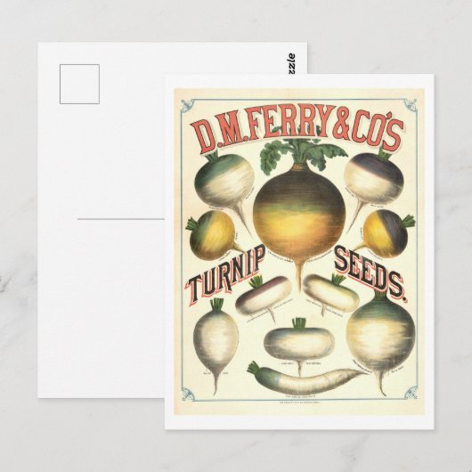 D. M. Ferry & Co.  raapzaad Adverteren Briefkaart (Voorkant / Achterkant)