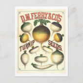 D. M. Ferry & Co.  raapzaad Adverteren Briefkaart (Voorkant)