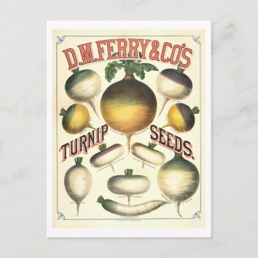 D. M. Ferry & Co. raapzaad Adverteren Briefkaart (Voorkant)