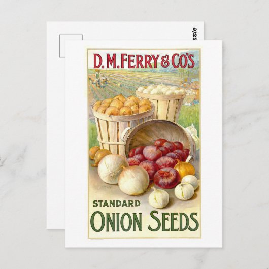 D. M. Ferry & Co. uienzaad Adverteren Briefkaart (Voorkant / Achterkant)