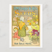 D.M. Ferry & Co. Zaaigoed Advertentie Briefkaart (Voorkant)