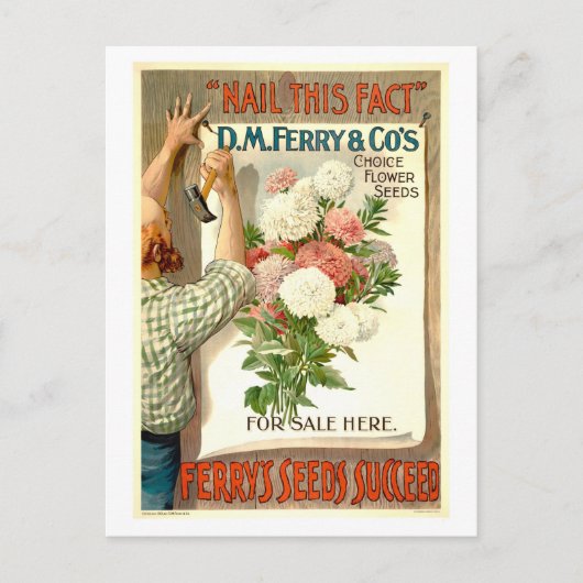 D.M. Ferry Flower Seed Advertentie Briefkaart (Voorkant)