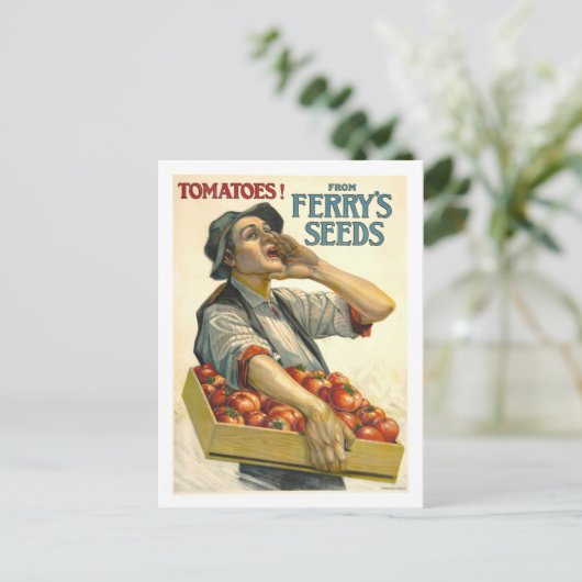 D.M. Ferry  Tomato Seed Advertentie Briefkaart (Staand voorkant)