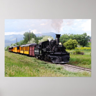 D&SNGR-ingenieur controleert spoor Poster