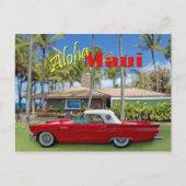 D.T.Fleming Beach Park Briefkaart (Voorkant)