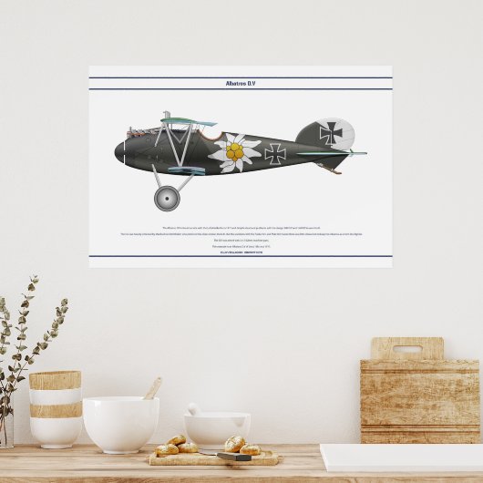 D.V. Jasta 16b Poster (Keuken)