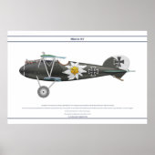 D.V. Jasta 16b Poster (Voorkant)