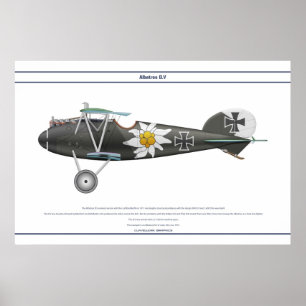 D.V. Jasta 16b Poster