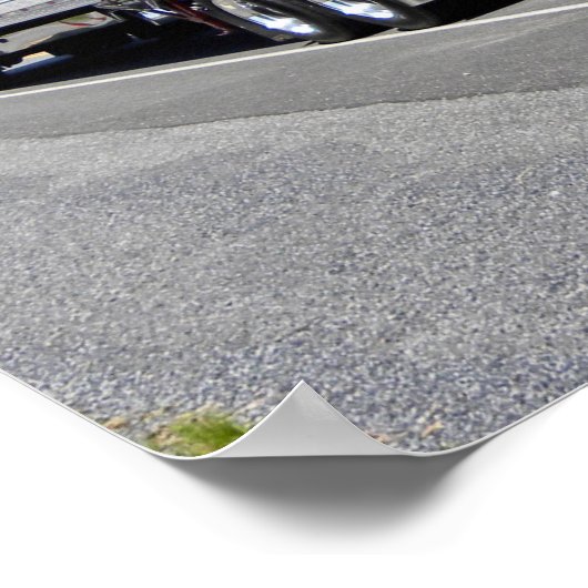 D Zimmerman's 379 Poster (Hoek)