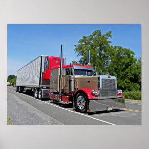 D Zimmerman's 379 Poster