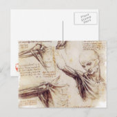 da Vinci -- De Schets van de schouder Briefkaart (Voorkant / Achterkant)