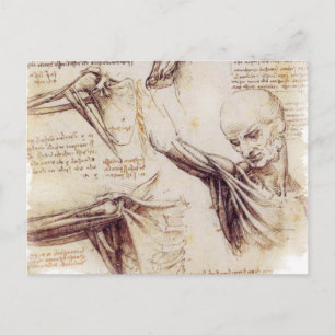 da Vinci -- De Schets van de schouder Briefkaart