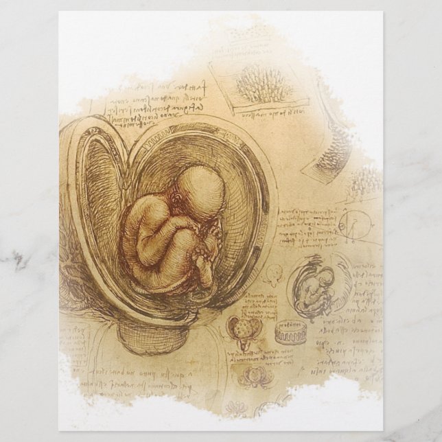 da Vinci - Embryo Sketch (Voorkant)